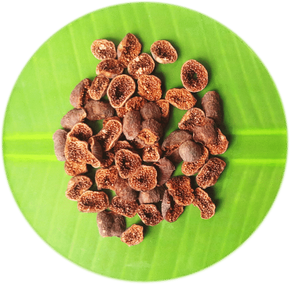 Wild Sun Dried Figs | காட்டு அத்திப்பழம் - Image 4