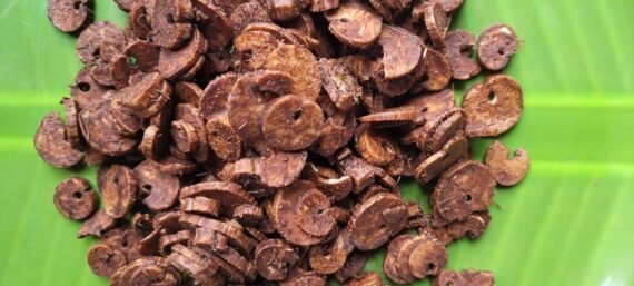 Palmyra Sprout Tuber Choco Flakes - Image 5