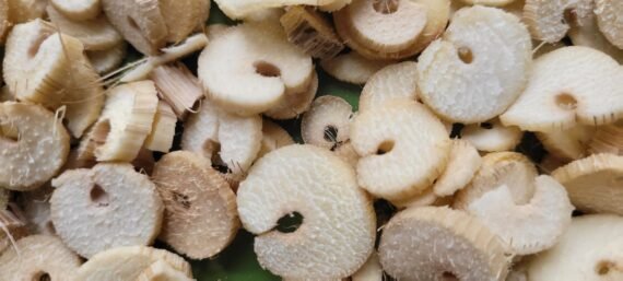 Palmyra Sprout Tuber Flakes - Image 3