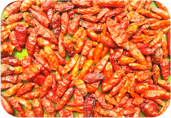 Wild Gaanthaari Chilli | காந்தாரி மிளகாய் - Image 2