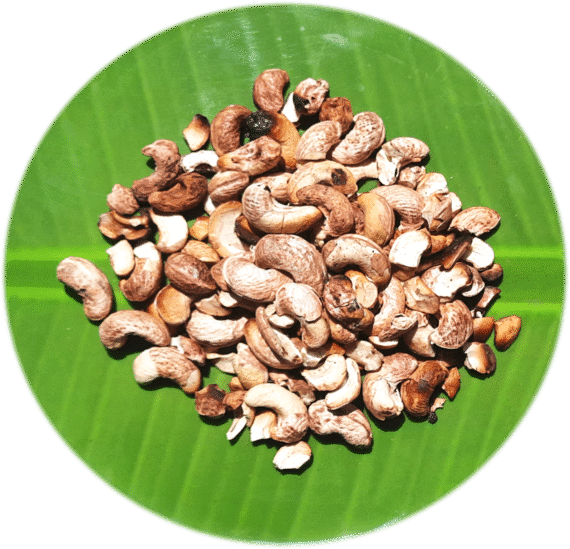 Wild Fire Toasted Cashewnuts | சுட்ட முந்திரி பருப்பு