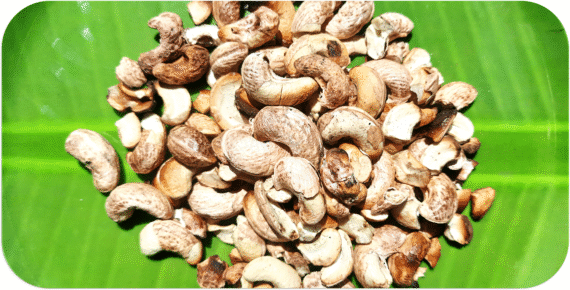 Wild Fire Toasted Cashewnuts | சுட்ட முந்திரி பருப்பு - Image 2