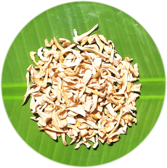 Wild Sun Dried Jack Fruit Chips | காட்டு பலா சிப்ஸ்