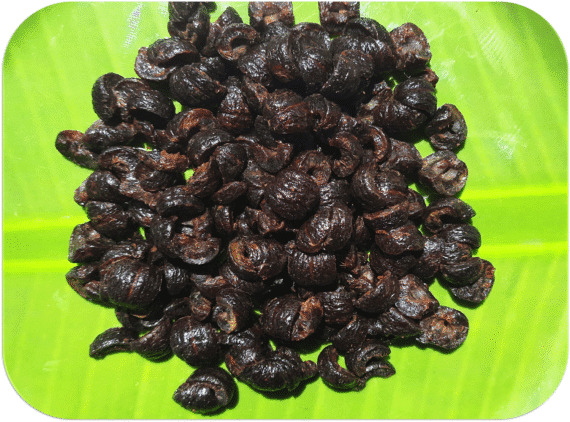 Sweet Amla Candy(Cane Sugar Coated)| நெல்லிக்காய் மிட்டாய்(நாட்டு சர்க்கரை) - Image 3